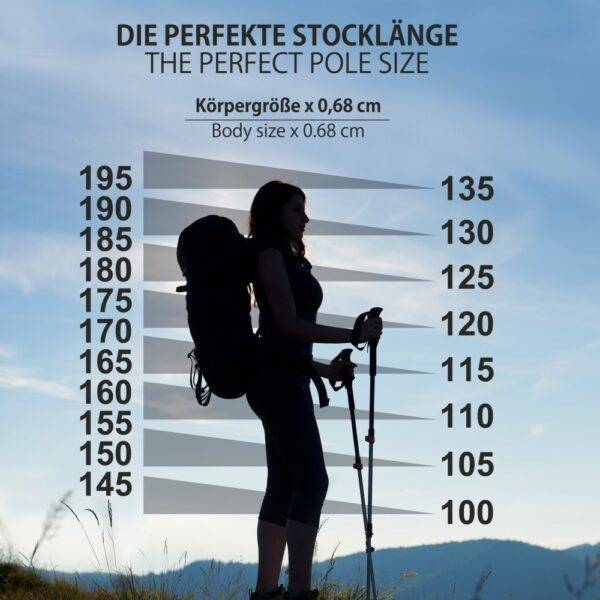 ALPIDEX grafīta nūjošanas nūju komplekts, 115cm - Image 5