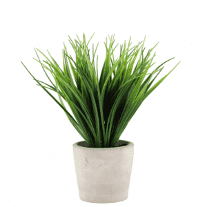 Mākslīgais augs betona podā 25cm