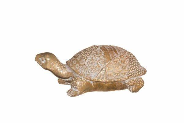 4Living Bruņurupucis, 17cm - Image 2