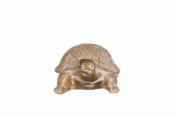 4Living Bruņurupucis, 17cm - Image 3