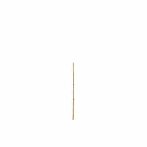 Tarmo Bambusa auga balsts 90cm 5gb