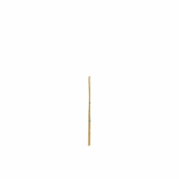 Tarmo Bambusa auga balsts 90cm 5gb