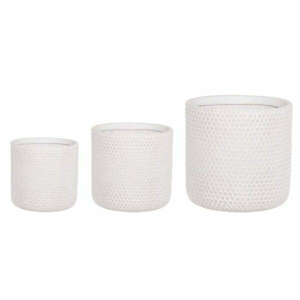 4Living Āra puķu pods Honey,  balts