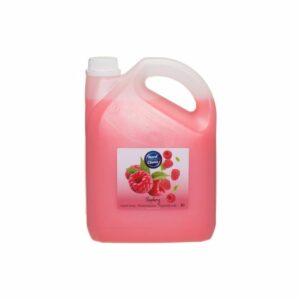 Nord Clean šķidrās ziepes aveņu 3L
