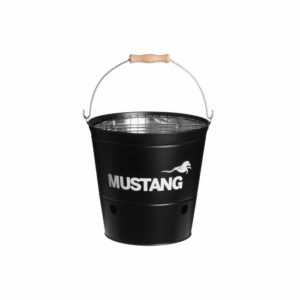 Mustang grils-spainis