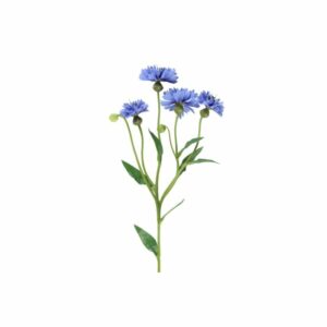 4Living Mākslīgais zieds Rudzupuķe 61.5cm