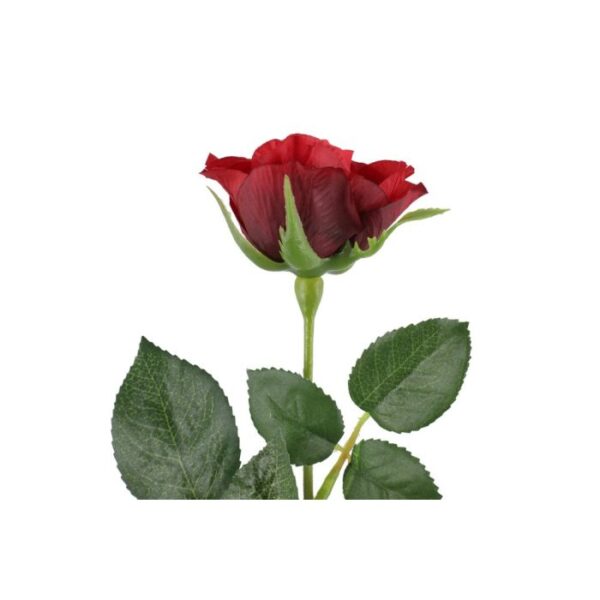 4Living Roze 47cm, dažādas krāsas - Image 2