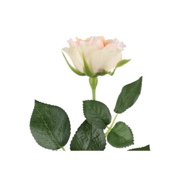 4Living Roze 47cm, dažādas krāsas - Image 7