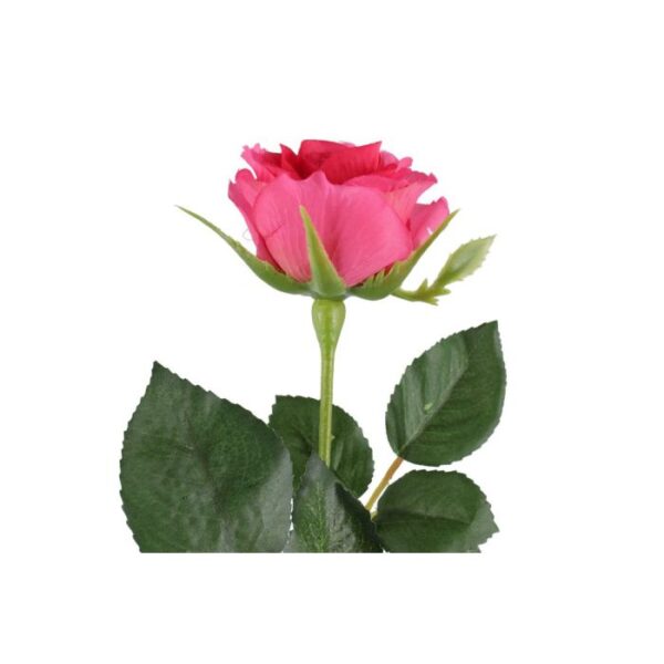 4Living Roze 47cm, dažādas krāsas - Image 6