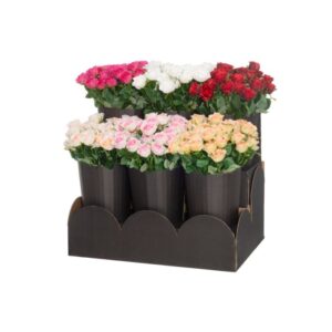 4Living Roze 47cm, dažādas krāsas