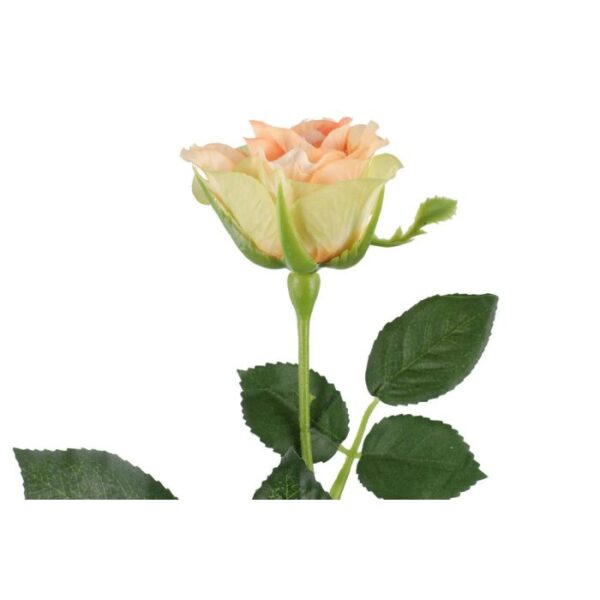 4Living Roze 47cm, dažādas krāsas - Image 5