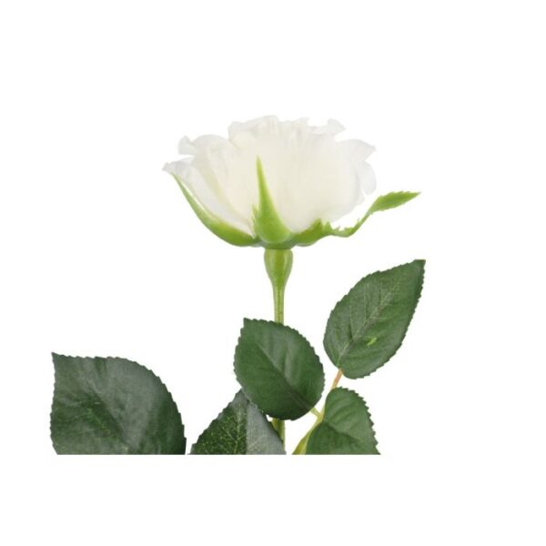 4Living Roze 47cm, dažādas krāsas - Image 4