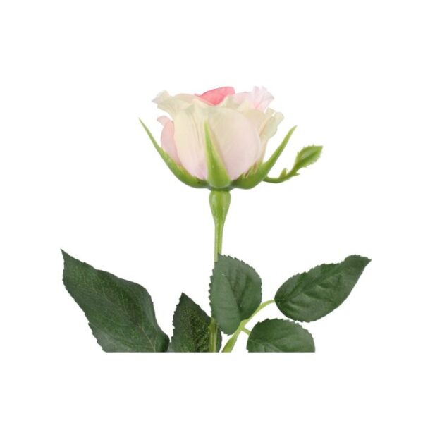 4Living Roze 47cm, dažādas krāsas - Image 3