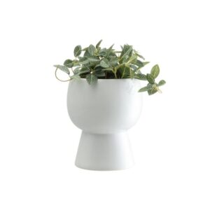 4Living puķupods CASA 15.5cm