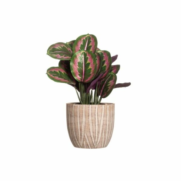 4Living Puķu pods Paralia 20cm - Image 2